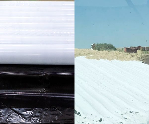 Silage Tarp